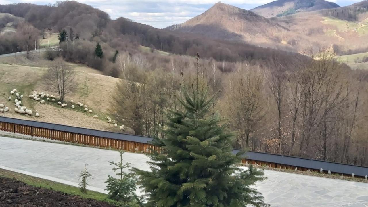農家樂 Maramures Belvedere *