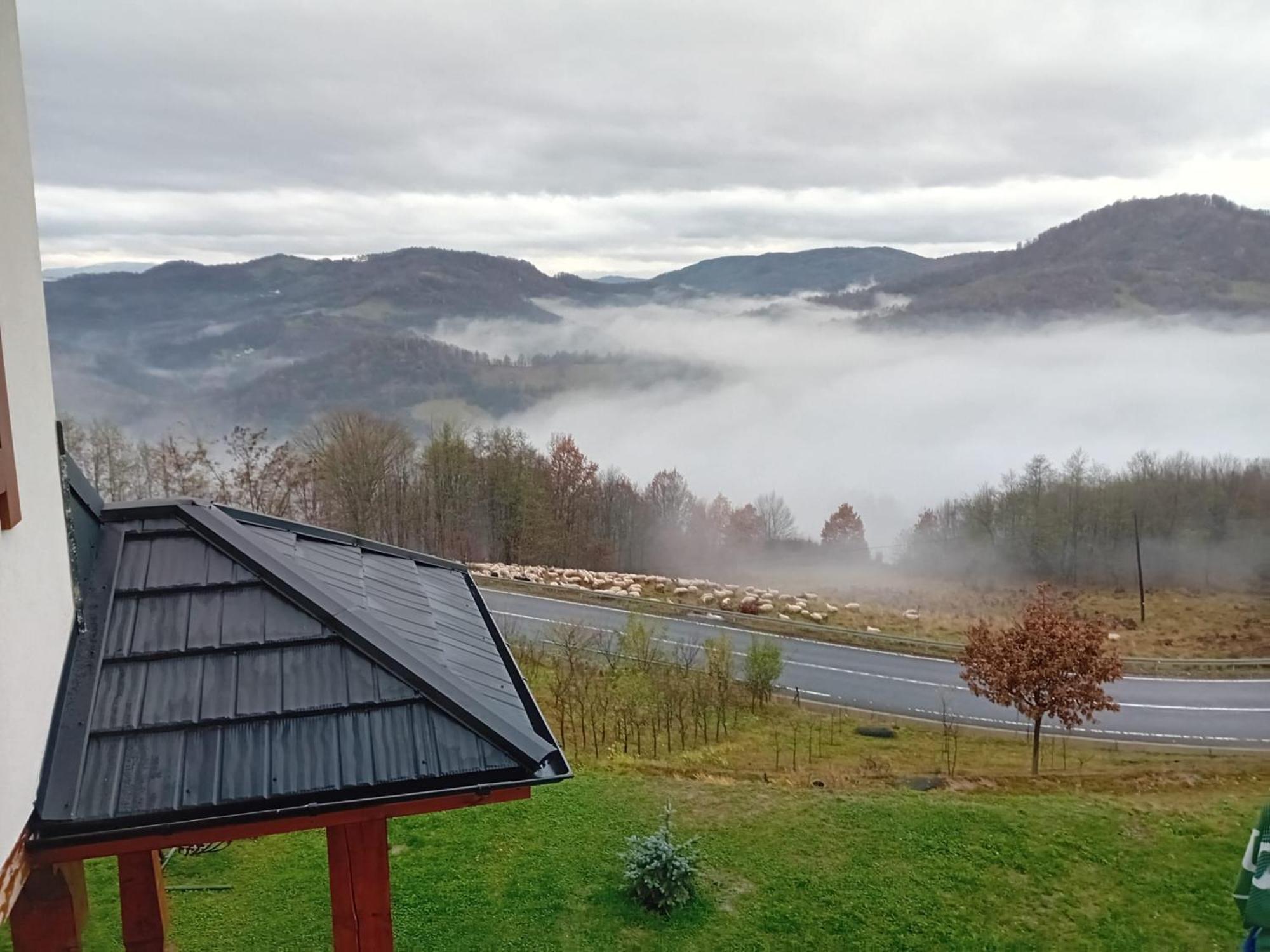 Maramures Belvedere Alloggio per agriturismo